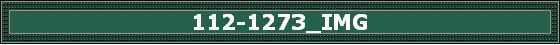 112-1273_IMG