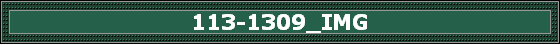 113-1309_IMG