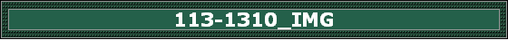 113-1310_IMG