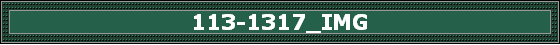 113-1317_IMG
