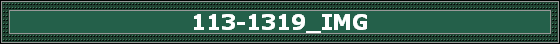 113-1319_IMG