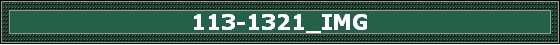 113-1321_IMG