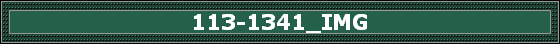 113-1341_IMG