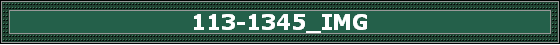 113-1345_IMG