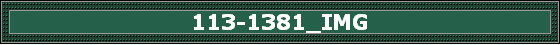 113-1381_IMG