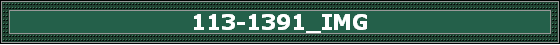 113-1391_IMG