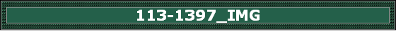 113-1397_IMG