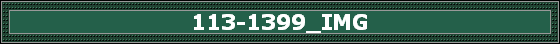 113-1399_IMG