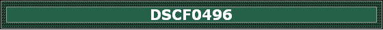 DSCF0496