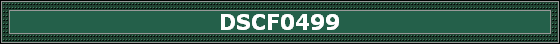 DSCF0499