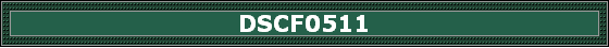 DSCF0511