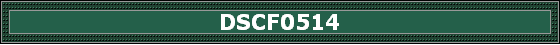 DSCF0514