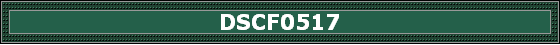 DSCF0517