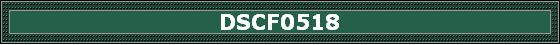 DSCF0518