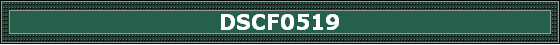 DSCF0519