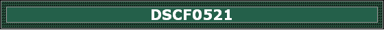 DSCF0521