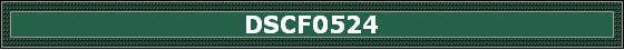 DSCF0524