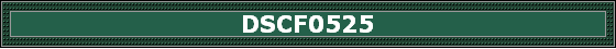 DSCF0525