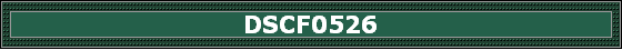 DSCF0526