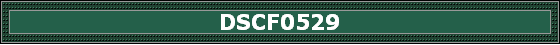 DSCF0529