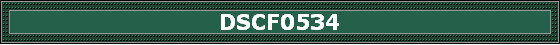 DSCF0534