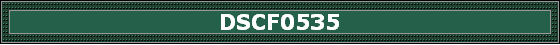 DSCF0535