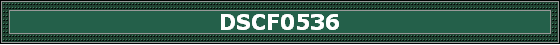 DSCF0536
