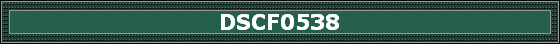 DSCF0538