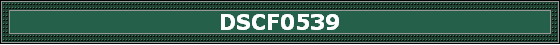 DSCF0539
