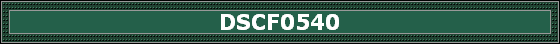 DSCF0540