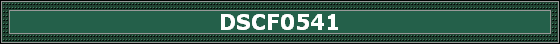 DSCF0541