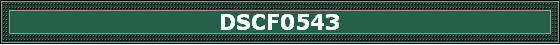 DSCF0543