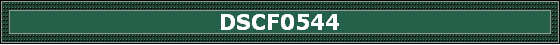 DSCF0544
