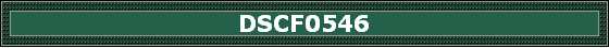 DSCF0546
