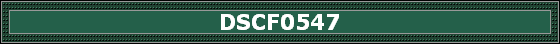 DSCF0547