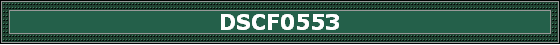 DSCF0553