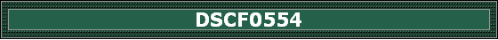 DSCF0554