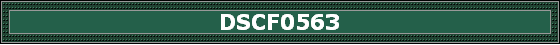 DSCF0563