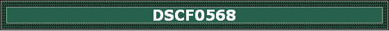 DSCF0568