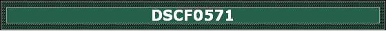 DSCF0571