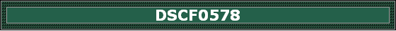 DSCF0578