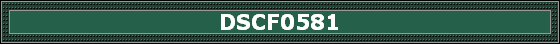 DSCF0581