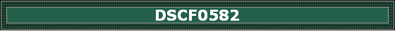 DSCF0582