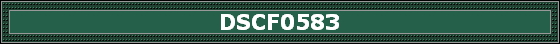 DSCF0583