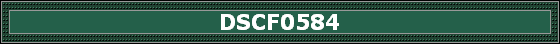 DSCF0584