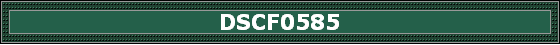 DSCF0585