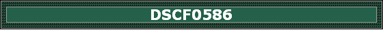 DSCF0586