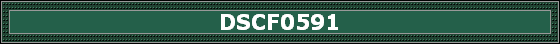 DSCF0591