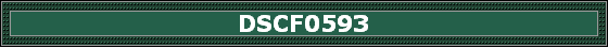 DSCF0593