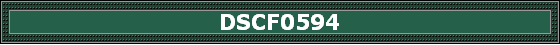 DSCF0594